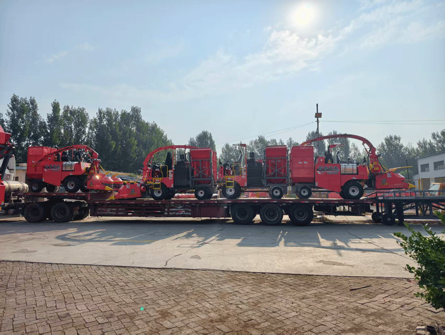 ترسیل کے لیے تیار: سینروئی 4QZ-2000C سائیلج ہارویسٹر مکمل طور پر جمع کر کے بھیج دیا گیا—مویشیوں کے فارموں کی کارکردگی میں اضافہ! ترسیل کے لیے تیار: سینروئی 4QZ-2000C سائیلج ہارویسٹر مکمل طور پر جمع کر کے بھیج دیا گیا—مویشیوں کے فارموں کی کارکردگی میں اضافہ!
